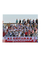 BANDERA 05 - Banner